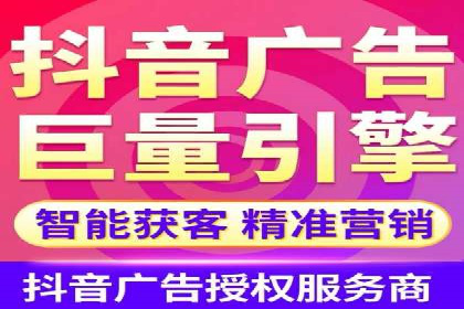 案例对比：SEO与SEM优化效果深度分析
